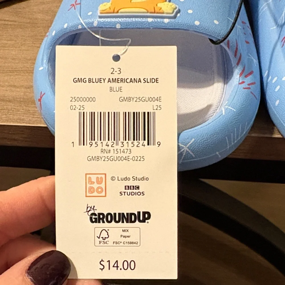 Kids Blue Character Slippers